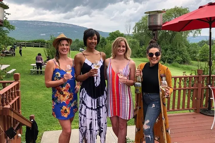 Excursión de un día a Hudson Valley para conocer el vino y la gastronomía con un sumiller anfitrión de Nueva York