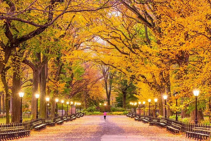 El icónico Central Park de Nueva York: un recorrido de audio autoguiado