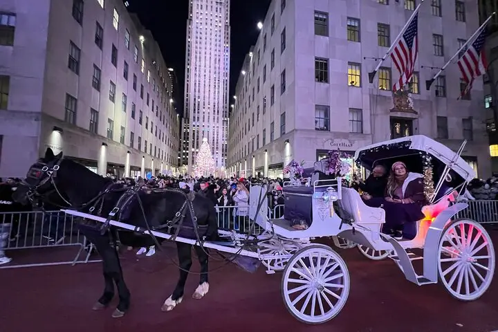 NYC : Magical Christmas Lights Paseo privado en carruaje de caballos