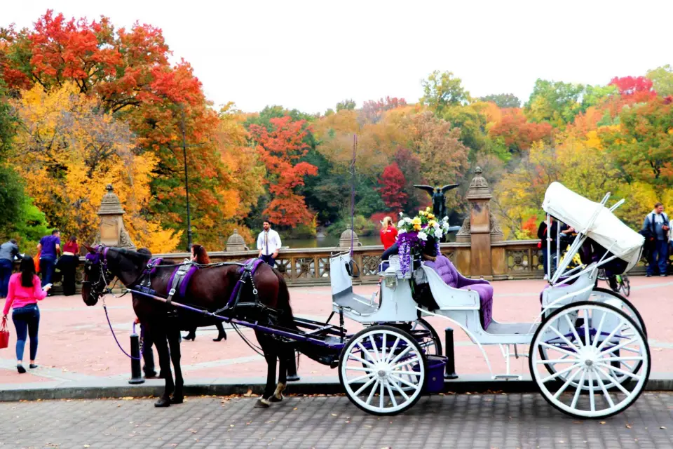 NYC: Paseo en coche de caballos por Central Park (hasta 4 adultos)