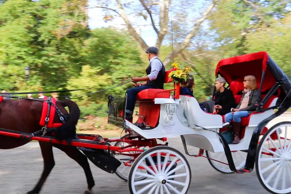 NYC: Paseo guiado en carruaje estándar por Central Park (4 adultos)