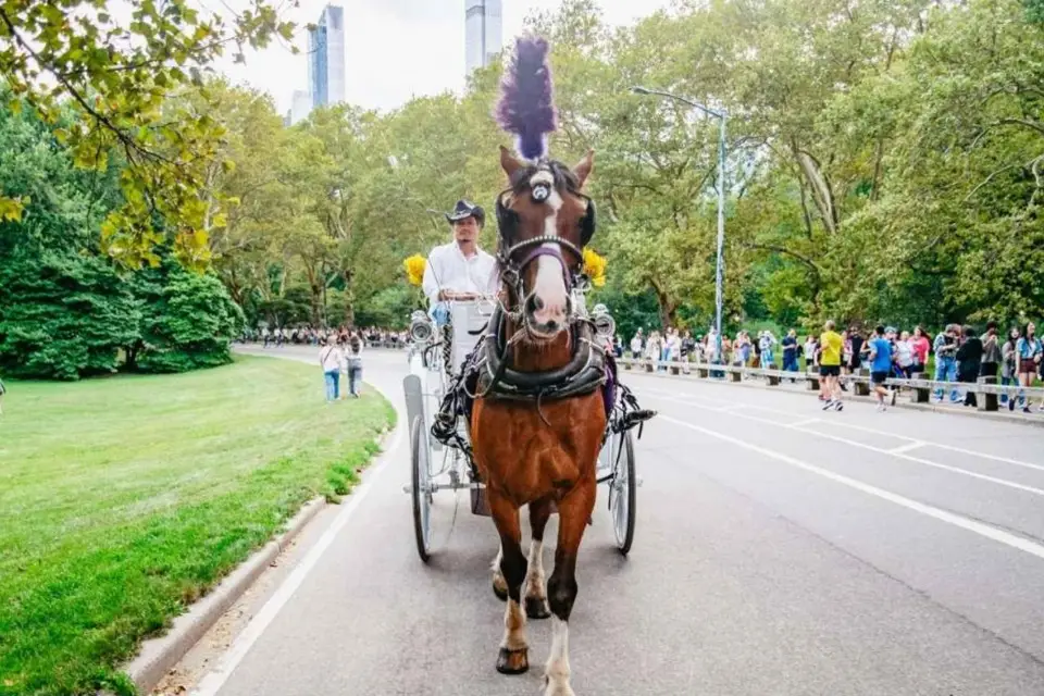 NYC:Paseo privado en coche de caballos a la luz de la luna y con las luces de Navidad