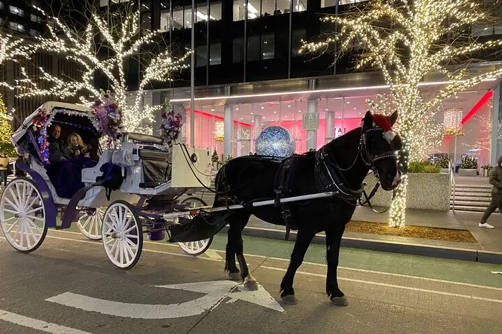 NYC Rockefeller Center Luces de Navidad Paseo en carruaje de caballos