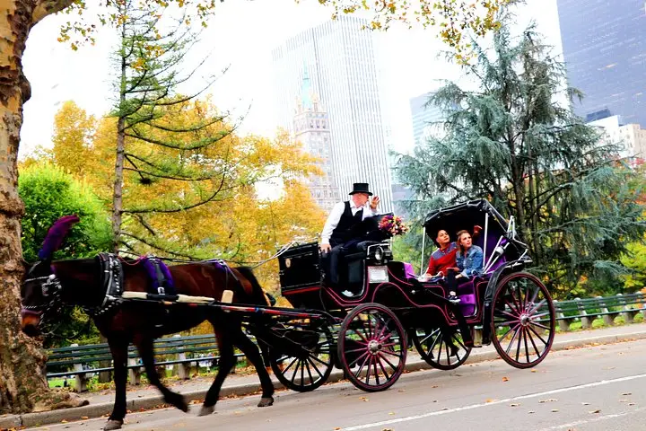 Paseo en carruaje de caballos por Central Park (hasta 4 adultos)