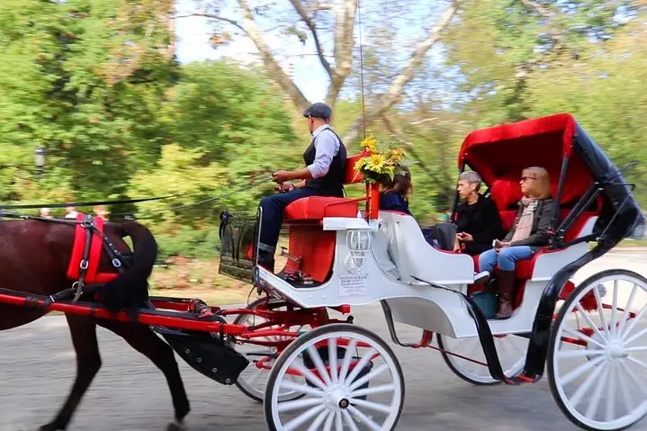 Paseo en carruaje de caballos por Central Park de Nueva York (hasta 4 adultos)