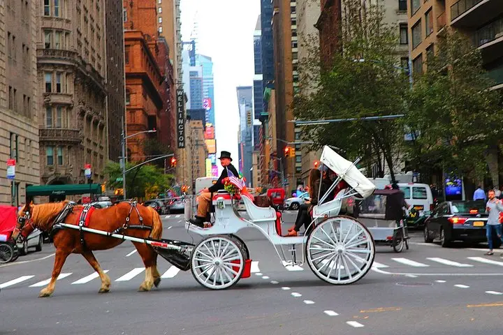 Paseo en carruaje de caballos por Nueva York en Central Park (50 min. hasta 4 adultos)