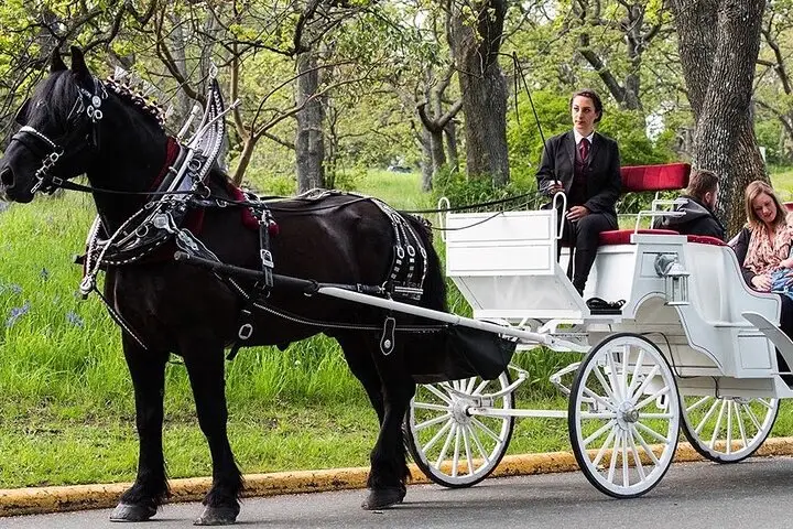 Paseo en carruaje de caballos por Central Park y Nueva York