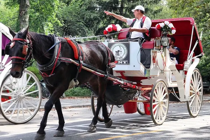 Paseo en carruaje por Central Park con entrega en Tavern On Green (45 min)