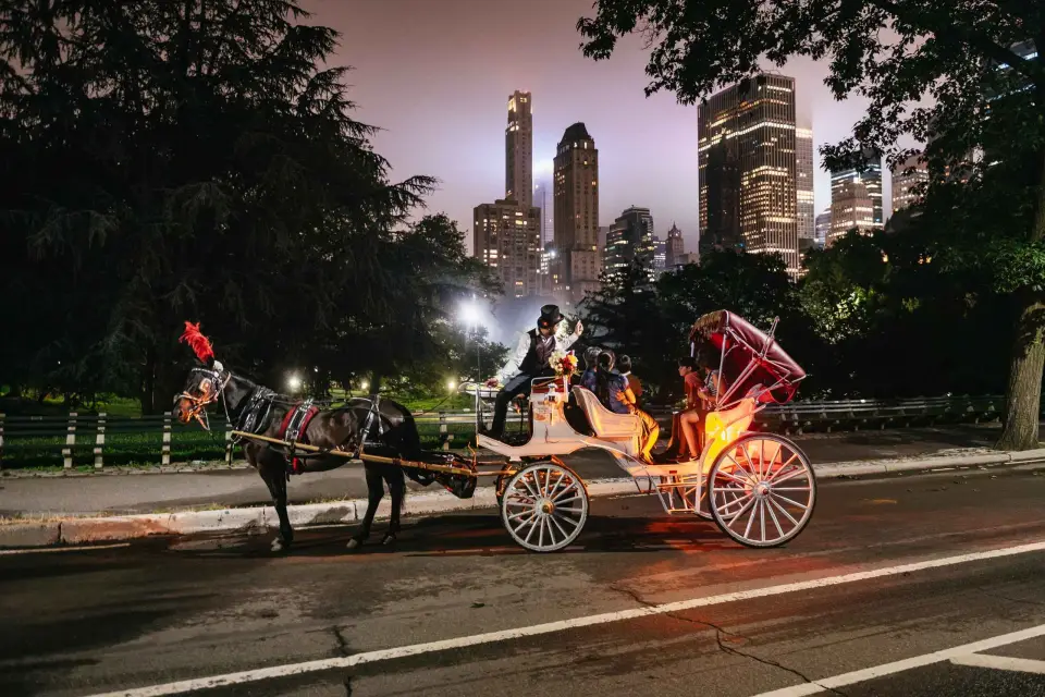 Paseo en carruaje por Central Park, Rockefeller y Times (4 Adultos)