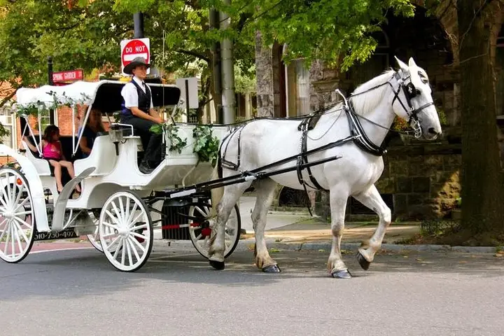 Paseo en carruaje por Central Park (VIP - PRIVADO) Desde 1964™