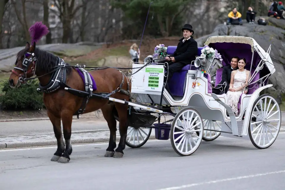 Paseo en Carruaje Real por Central Park NYC