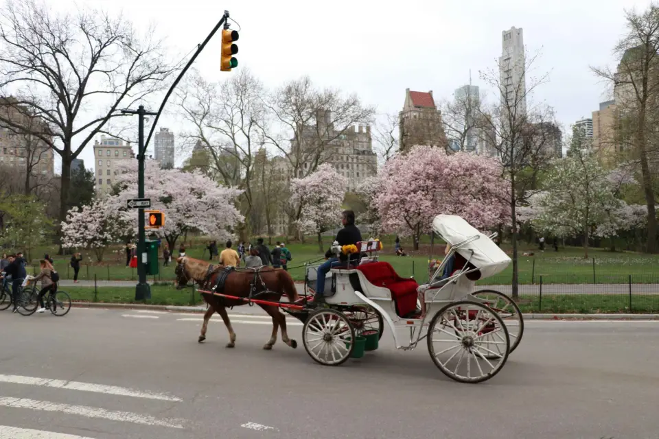 Paseo en carruaje a/desde Tavern On The Green (hasta 4 adultos)