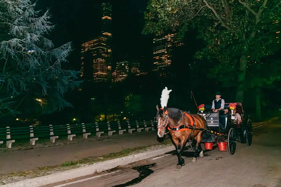 paseo en coche de caballos a la luz de la luna de nueva york por central park