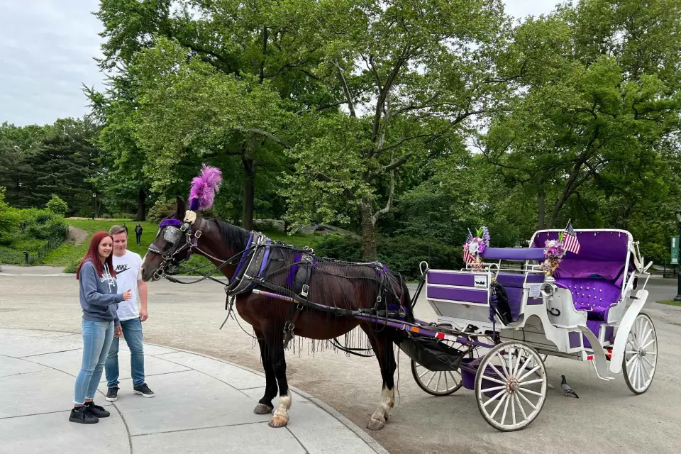 NUEVA YORK Paseo guiado en coche de caballos por Central Park