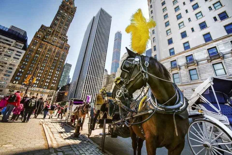 Paseo guiado en coche de caballos por Central Park y NYC Desde 1972
