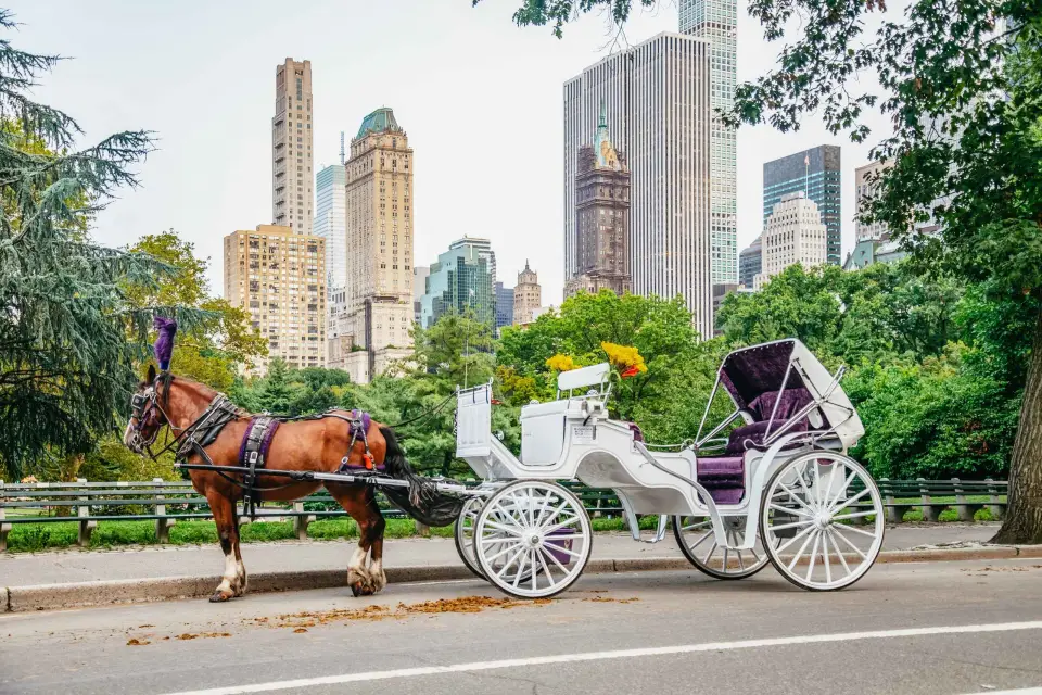 NUEVA YORK Paseo guiado en coche de caballos por Central Park