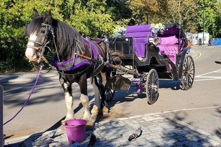 Paseo privado oficial en carruaje de caballos por el Central Park de la ciudad de Nueva York desde 1965™
