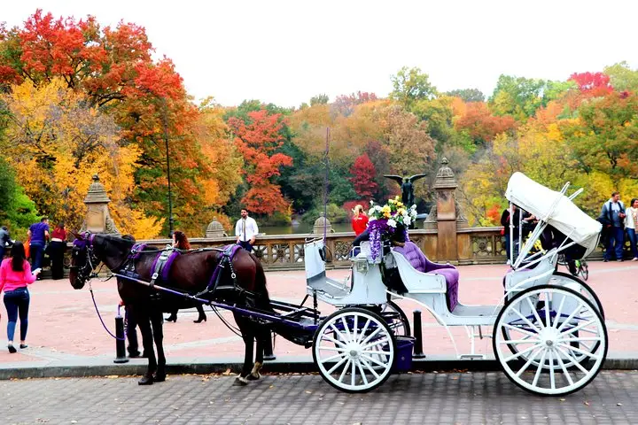 Paseo VIP en carruaje de caballos por Central Park (hasta 4 adultos)