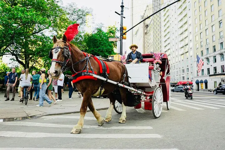 Paseos a caballo y en carruaje por Central Park
