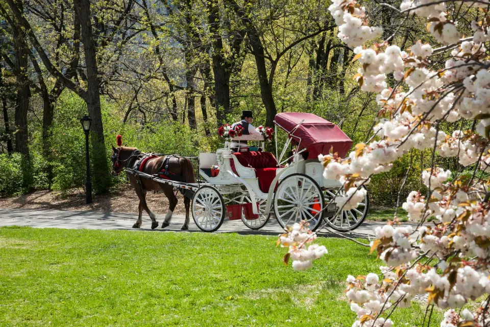 Nueva York: Paseos a caballo y en carruaje por Central Park