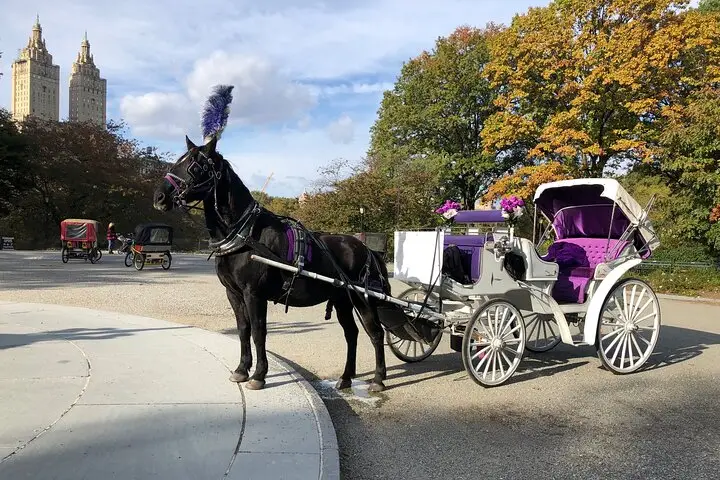 Paseos en carruaje de caballos por Central Park desde 2005