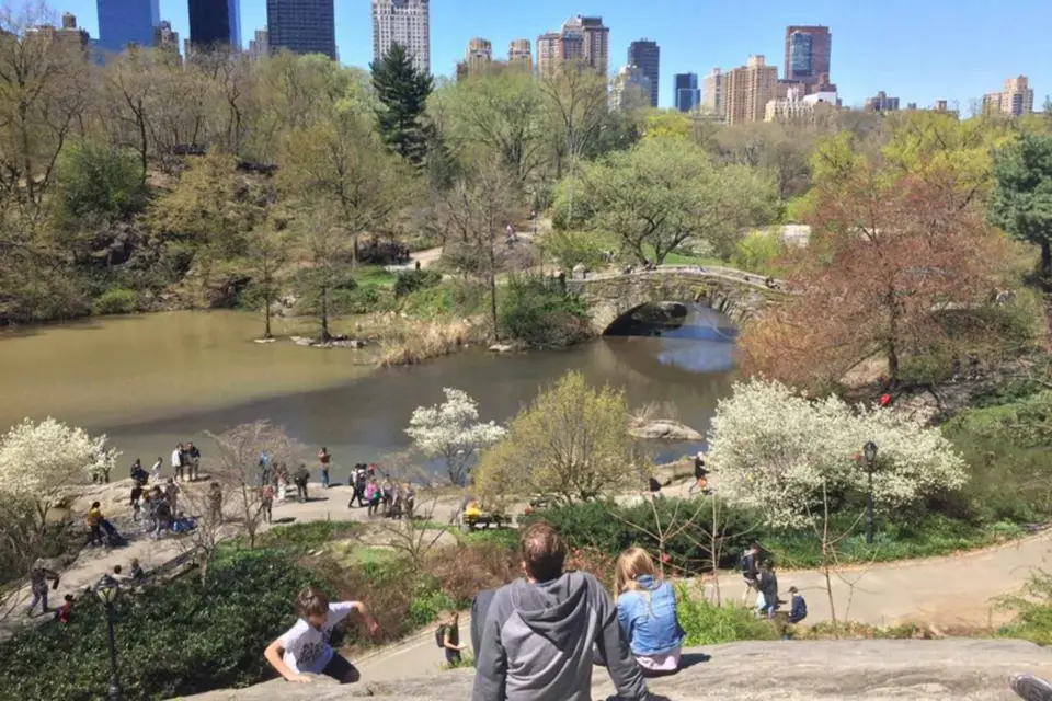 Nueva York: Recorrido a pie por lo más destacado de Central Park