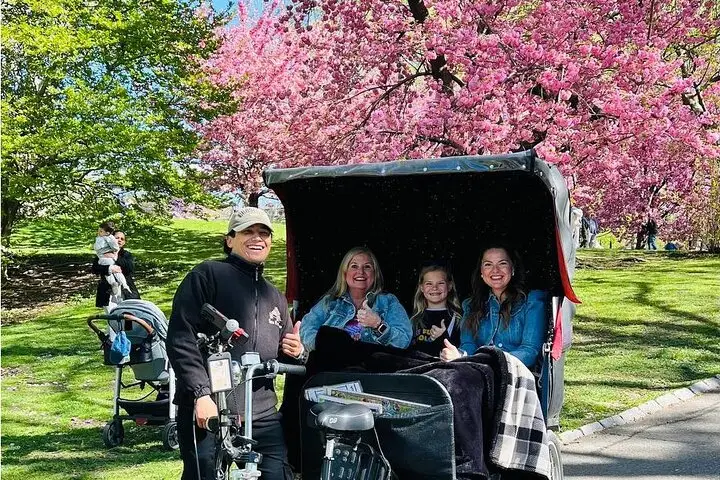 Tour en bicitaxi por Central Park con guía