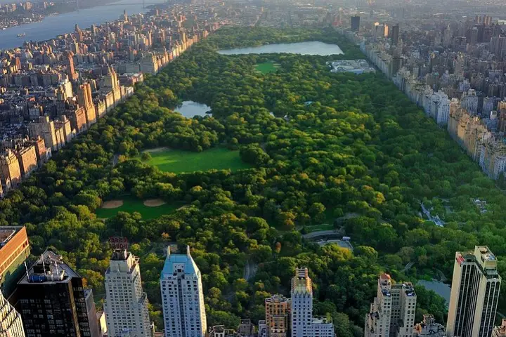 Tour clásico de 1 hora en bicitaxi por Central Park