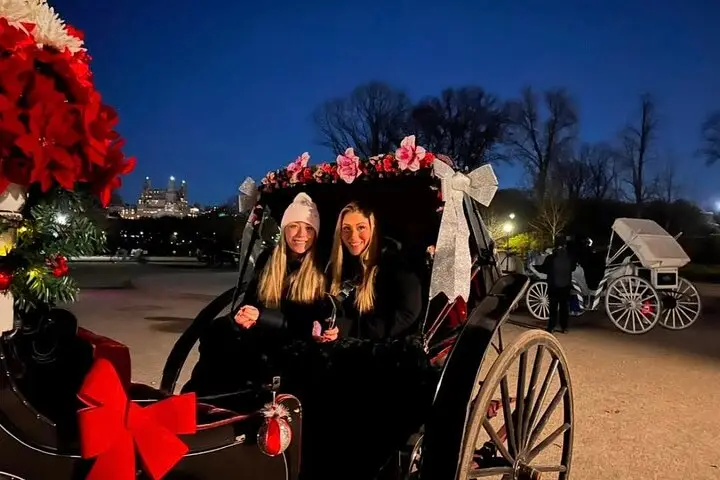 Tour a la luz de la luna por Central Park con foto (45 min) ~ Evite colas