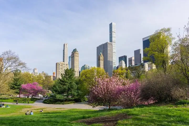 Tour privado de 3 horas por el Central Park de Nueva York con paseo en carrusel