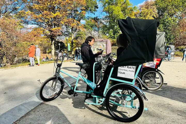 Tour privado en bicitaxi por Central Park (2 horas)