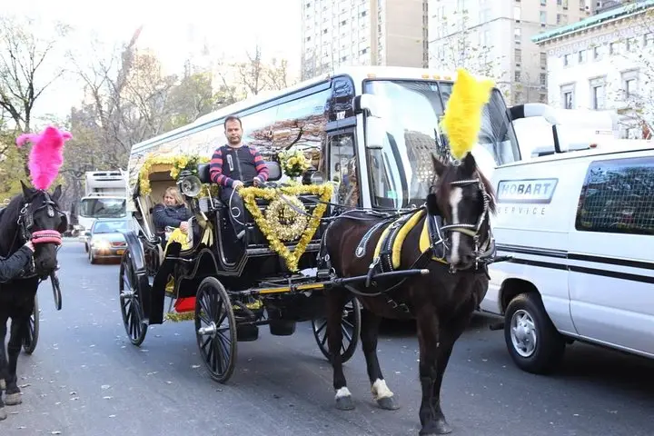 Tour privado en carruaje de caballos por Central Park en Nueva York