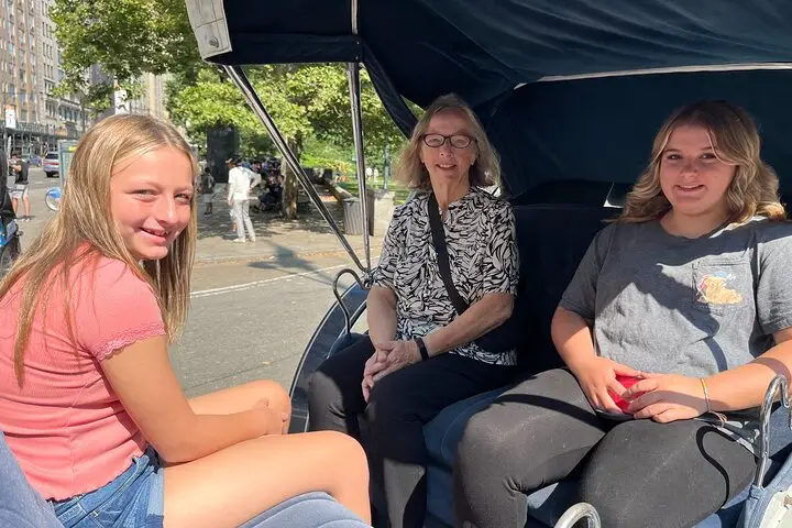 Tour privado de medio día por la ciudad de Nueva York en furgoneta