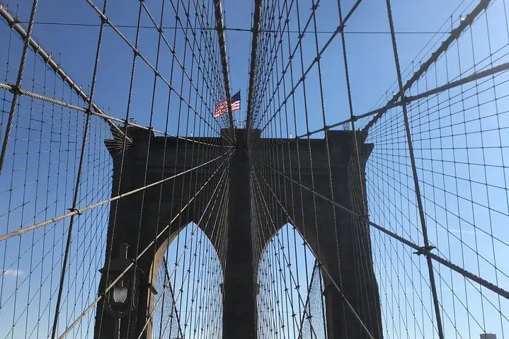 Tour privado a pie: puente de Brooklyn y DUMBO