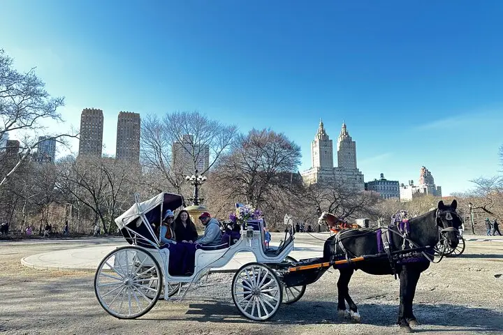 Tours de lujo en carruajes de caballos en Central Park
