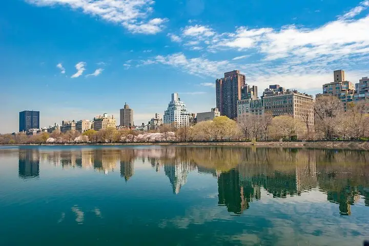 Visita guiada privada a pie por Midtown Manhattan y Central Park