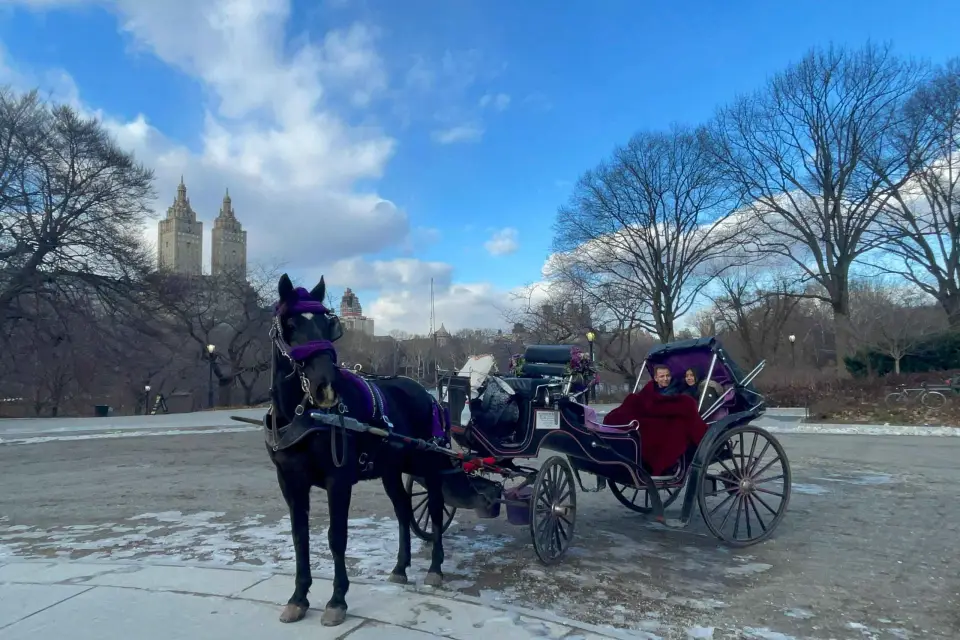 Visita oficial VIP completa en coche de caballos por Central Park