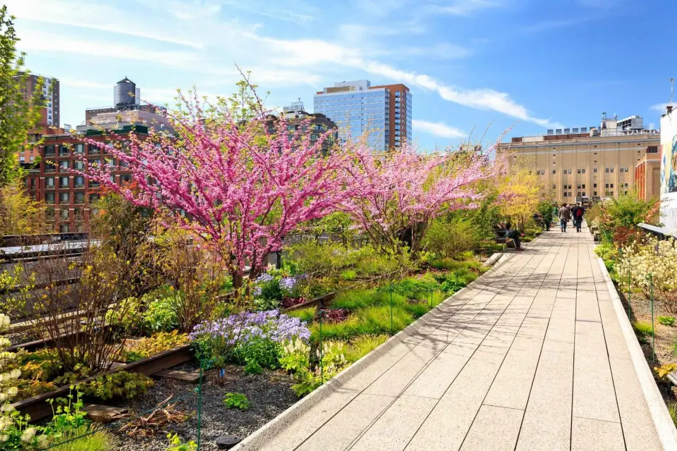 Visita privada a High Line, Chelsea, Hudson Yards y Edge