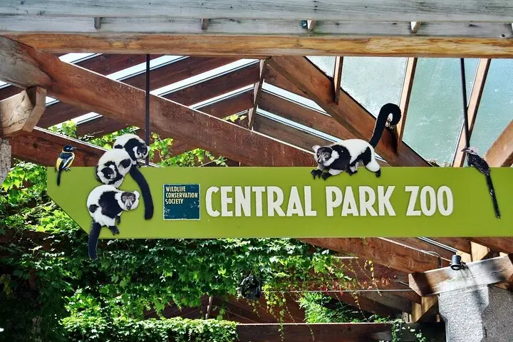Visite el zoológico de Central Park y un recorrido a pie de 3 horas por Manhattan