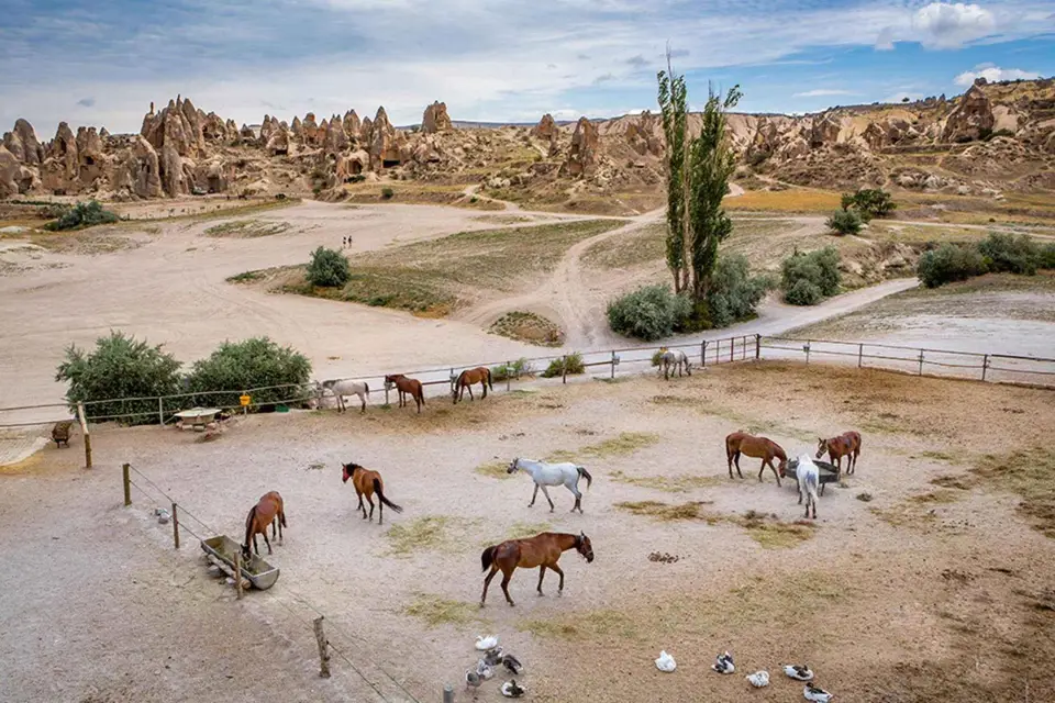 Desde Estambul: Capadocia, Éfeso y Pamukkale - Circuito Privado