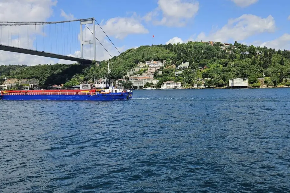 Estambul: Crucero y Cena 2,5 horas Almuerzo en el Bósforo