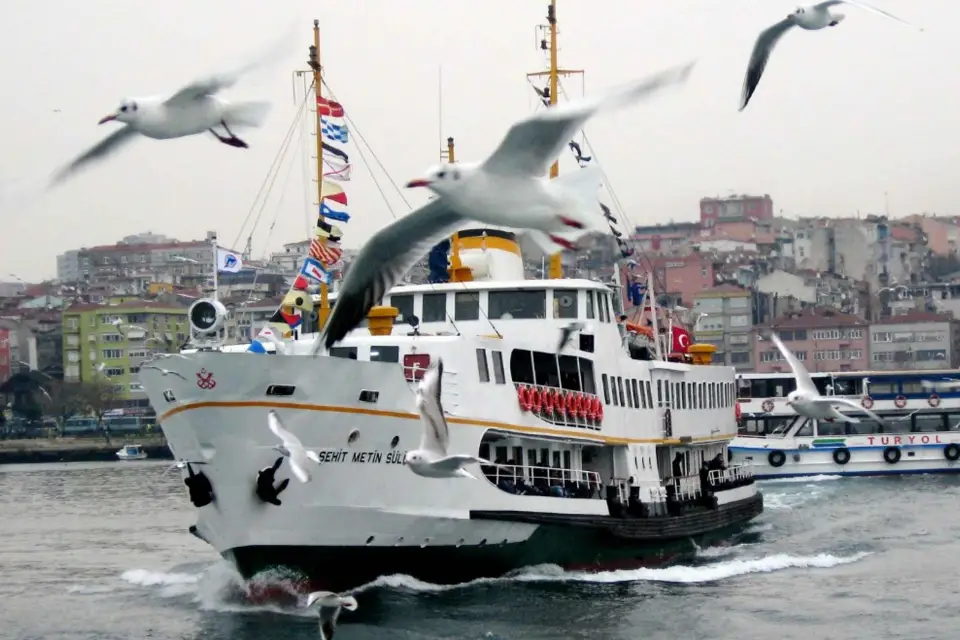 Estambul: Crucero matinal por el Bósforo con desayuno