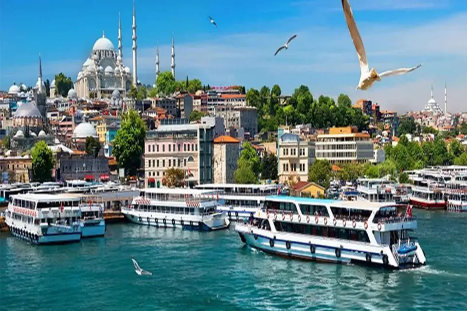 Crucero matinal por el Bósforo de Estambul Visita guiada