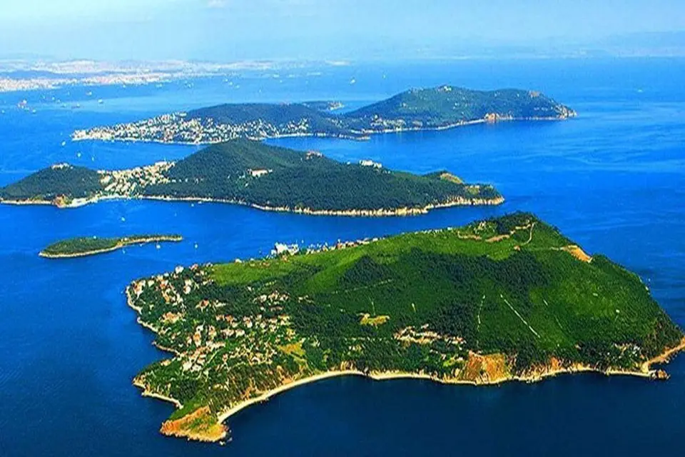 Desde Estambul: Excursión a las Islas Príncipe con almuerzo