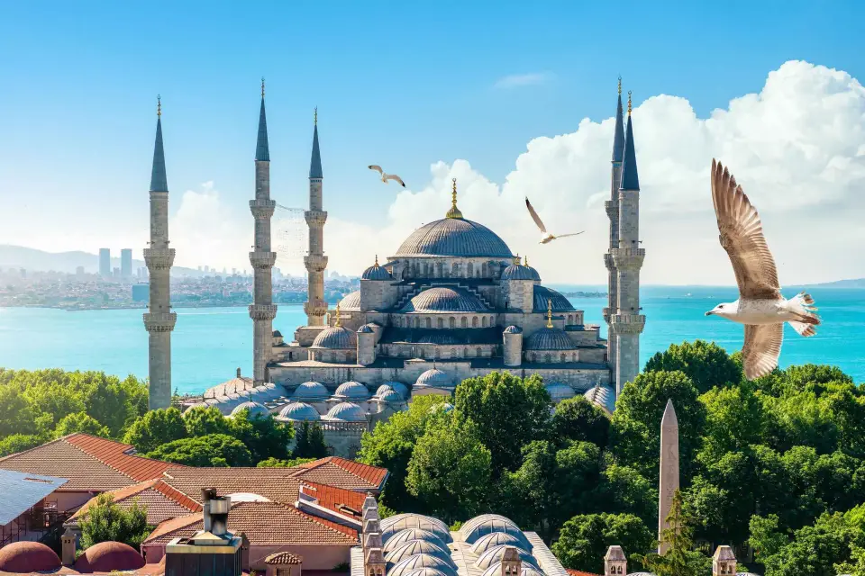 Estambul: Excursión de lujo de un día en grupo reducido sin hacer cola