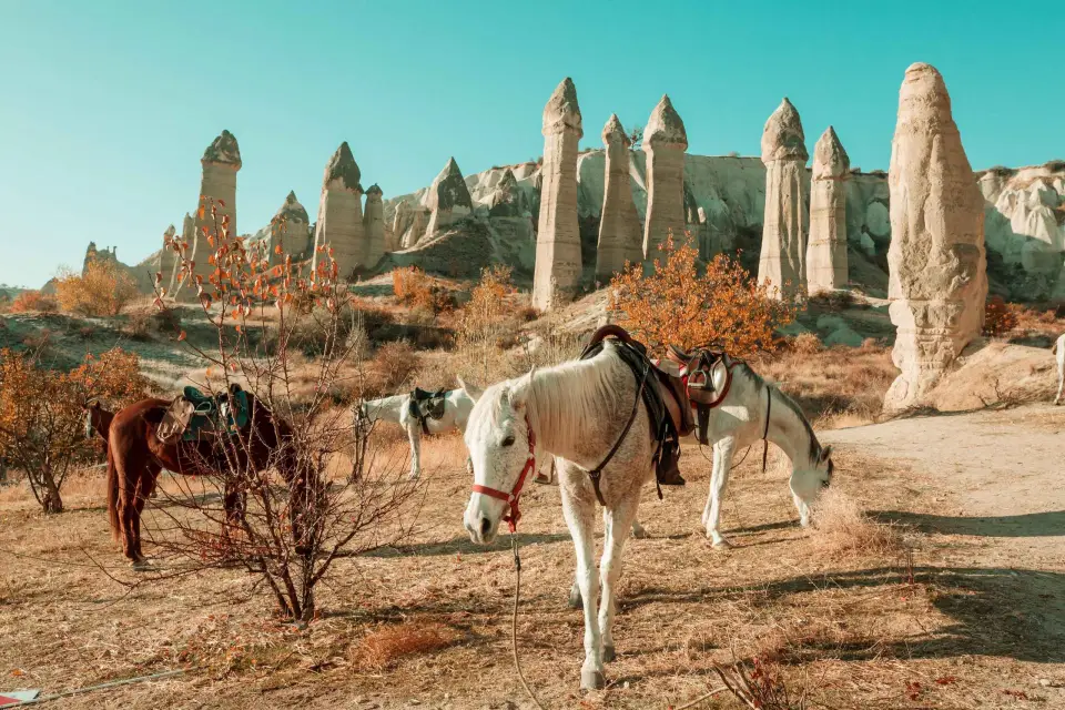 Excursión privada de un día de Estambul a Capadocia, todo incluido