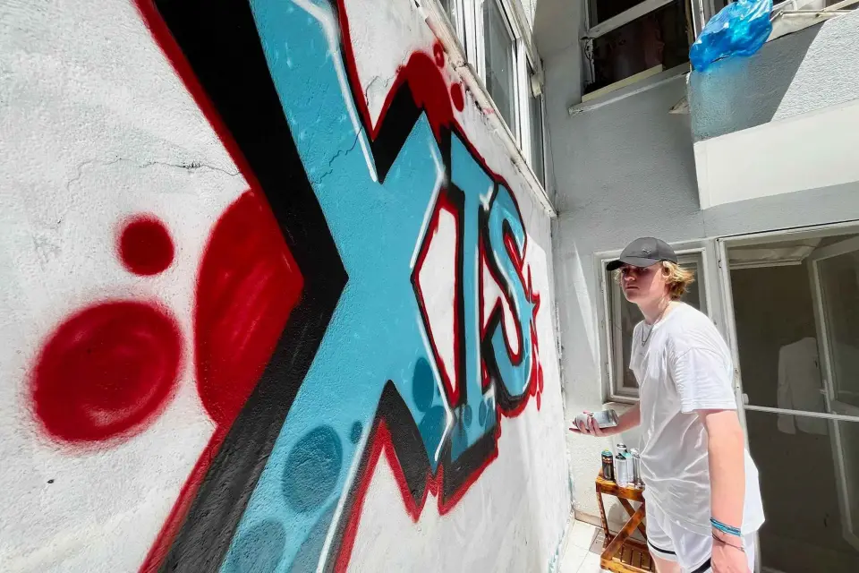 Estambul: Haz Arte Callejero con Artistas Locales en Home Garden