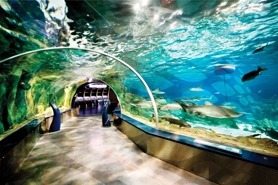 Tour del Acuario de Estambul y centro comercial Aqua Florya