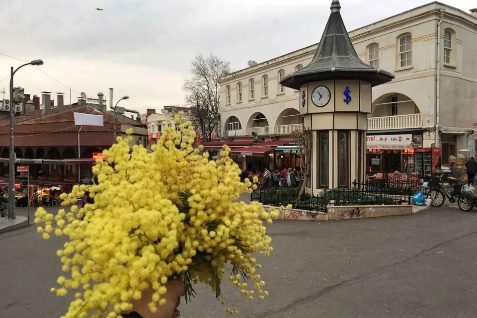 Desde Estambul: tour a pie de día completo a Büyükada