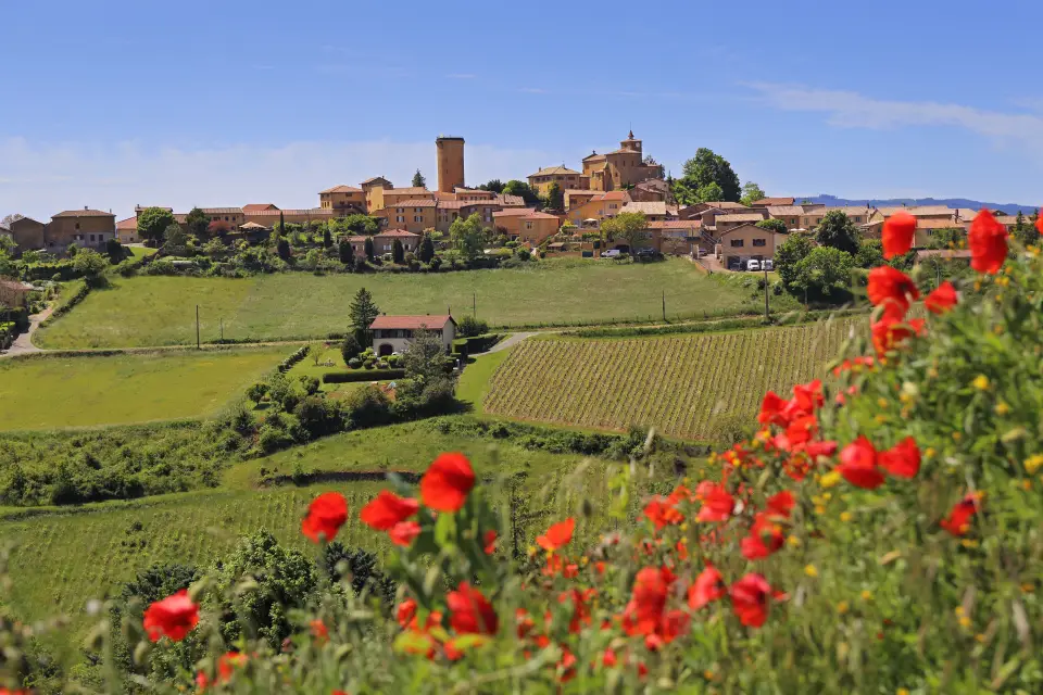 Excursión a Oingt + Visita a una bodega de Beaujolais